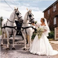 Horse drawn Carriage Hire   Disley 1084509 Image 7